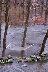 Image showing flooded backyard of suburban house