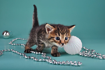 Image showing small  kitten among Christmas stuff