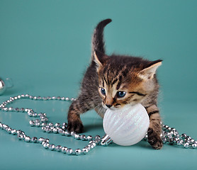 Image showing cute little kitten with white Christmas ball