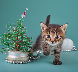 Image showing small  kitten among Christmas stuff