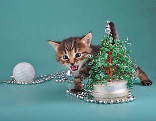 Image showing kitten against Christmas tree