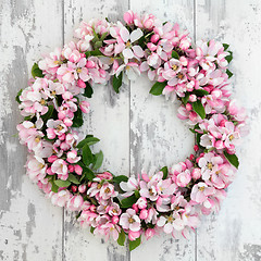 Image showing Apple Blossom Wreath