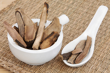 Image showing White Peony Root Herb