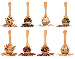 Image showing Chinese Herbal Medicine