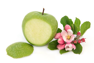 Image showing Granny Smith Apple