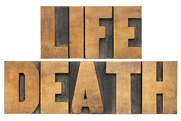 Image showing life and death in wood type