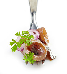 Image showing fork with anchovy roll