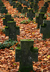 Image showing autumn graveyard