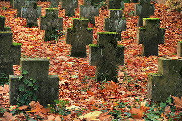 Image showing autumn graveyard