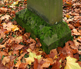 Image showing autumn graveyard