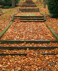 Image showing autumn graveyard