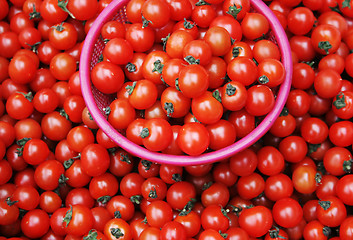 Image showing Tomatoes