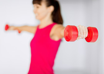 Image showing sporty woman hands with light red dumbbells