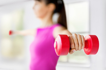 Image showing sporty woman hands with light red dumbbells