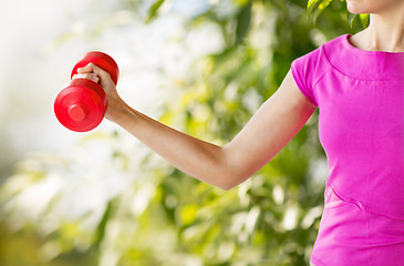 Image showing sporty woman hands with light red dumbbells