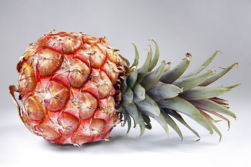 Image showing Pineapple