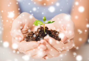 Image showing hands with green sprout and ground