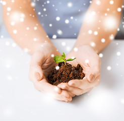 Image showing hands with green sprout and ground