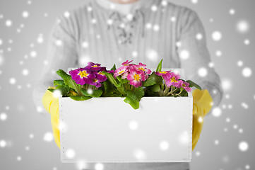 Image showing man holding big pot with flowers