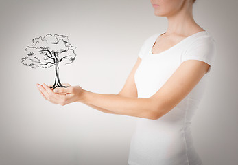 Image showing woman with small tree in her hands