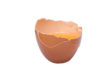 Image showing Egg