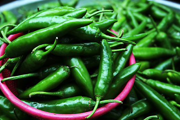 Image showing Green peppers