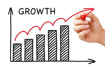 Image showing Growth Graph 