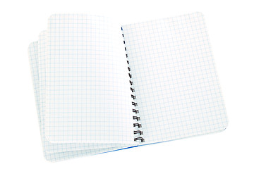 Image showing Notebook blue checked flipped