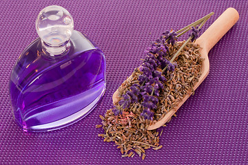 Image showing Dried lavender blossoms