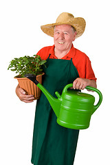 Image showing Senior gardener with flower pot