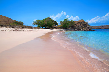 Image showing Pink Beach