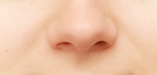 Image showing human nose