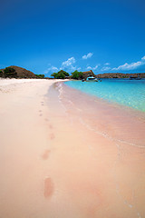 Image showing Pink Beach