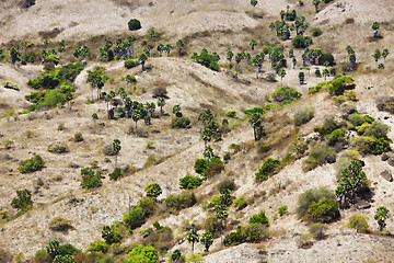 Image showing Komodo Island