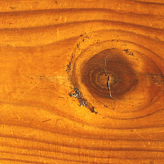 Image showing Wood picture