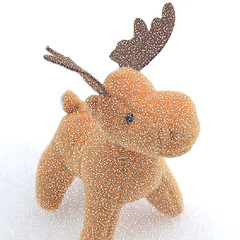 Image showing Christmas Deer