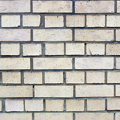 Image showing White bricks