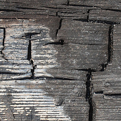 Image showing Burned wood