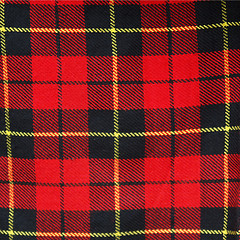 Image showing Tartan picture