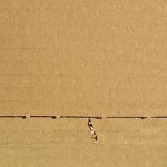 Image showing Corrugated cardboard