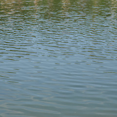 Image showing Water picture