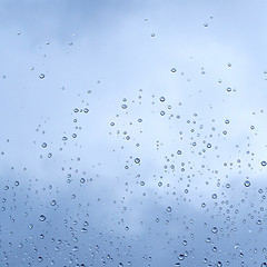 Image showing Rain droplets