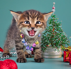 Image showing small  kitten among Christmas stuff
