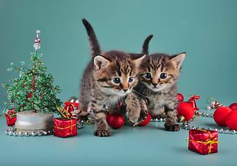 Image showing small  kittens among Christmas stuff