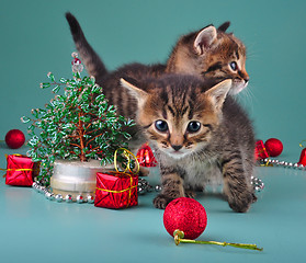 Image showing funny little kittens with handmade Christmas tree and balls