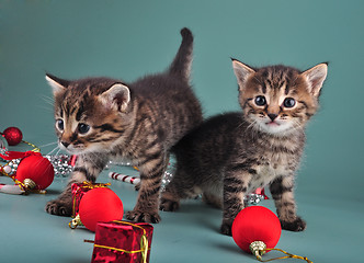 Image showing small  kittens among Christmas stuff