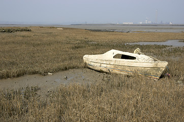 Image showing Stuck in the mud