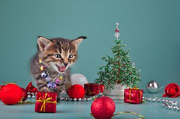 Image showing small  kitten among Christmas stuff