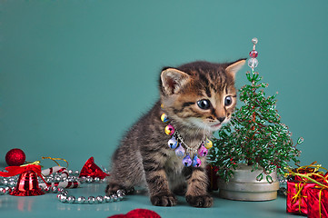 Image showing small  kitten among Christmas stuff