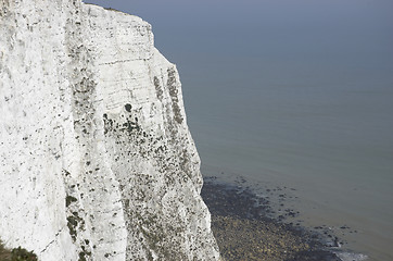 Image showing White cliffs of Dover